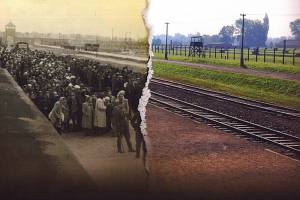 Trips To Auschwitz