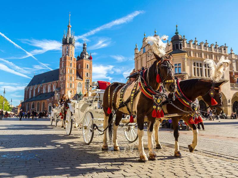 view over a horse carriage in front of the Clothes Hall in Krakow