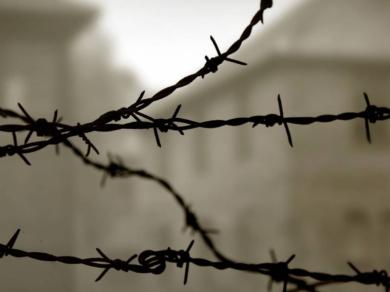 auschwitz birkenau view