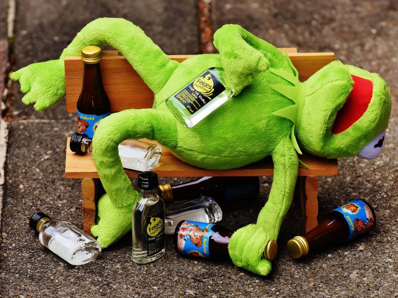 drunk kermit