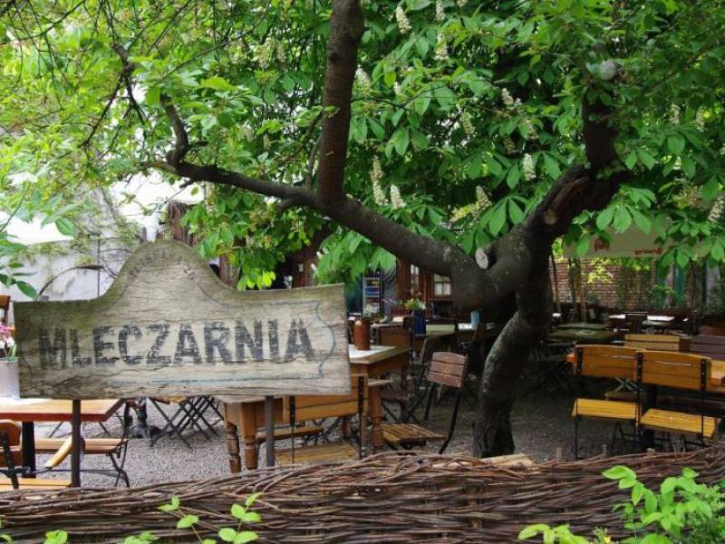 mleczarnia pub garden