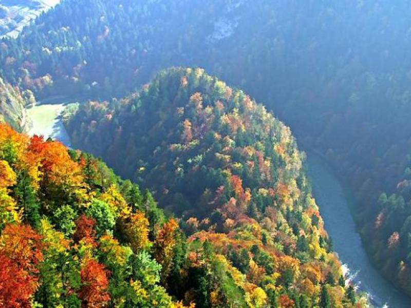 dunajec rafting view