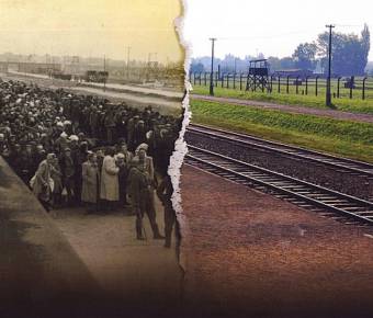 Trips To Auschwitz